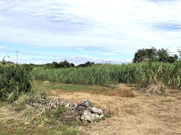 【土地】西仲宗根　添道近く　170坪　畑