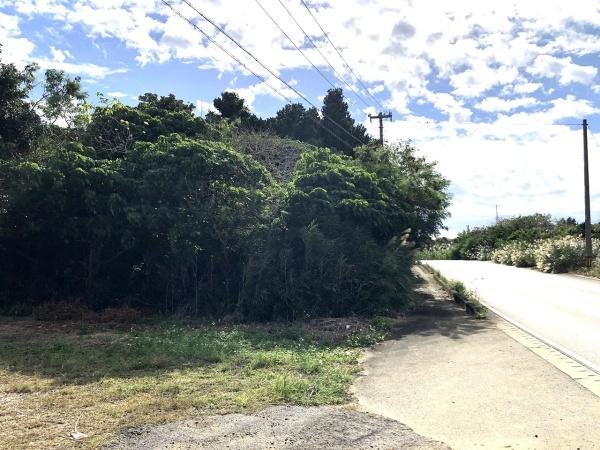 【土地】西仲宗根　添道の通りに面した　約65坪　宅地