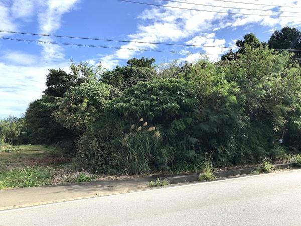 【土地】西仲宗根　添道の通りに面した　約65坪　宅地