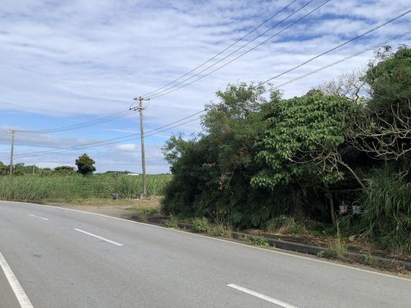 【土地】西仲宗根　添道の通りに面した　約65坪　宅地