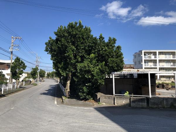 宮古島市平良字久貝の土地