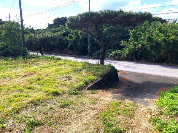 【土地】大浦でスローライフを夢見て　147坪　農用地・原野
