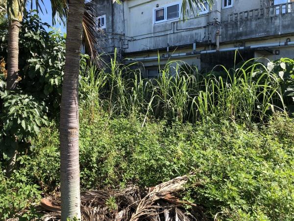 宮古島市平良字下里の土地