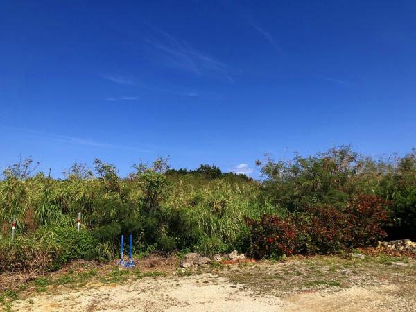 【土地】絶景のオーシャンビュー　約731坪　畑・原野