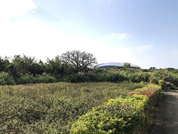 【土地】JTAドーム南東側　2093坪　畑（農用地）