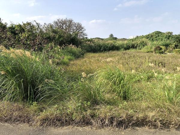 【土地】JTAドーム南東側　2093坪　畑（農用地）