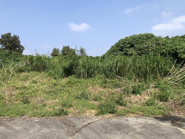【土地】平良下里の袋地　約685坪　原野