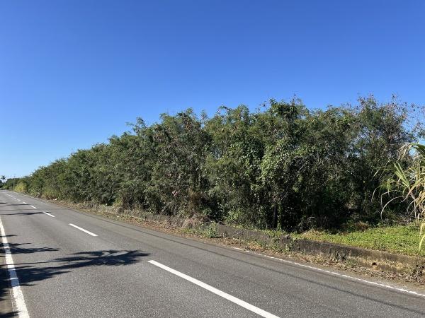 【土地】下地与那覇前浜ビーチ近く　約689坪　原野