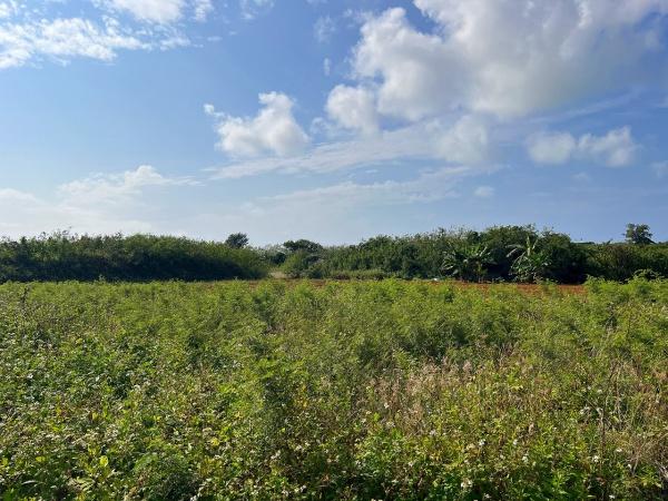 【戸建・土地】伊良部海峡に浮かぶ半島　約1,576坪