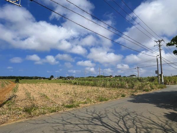 【土地】平良西里野原越公民館隣　約597坪　畑