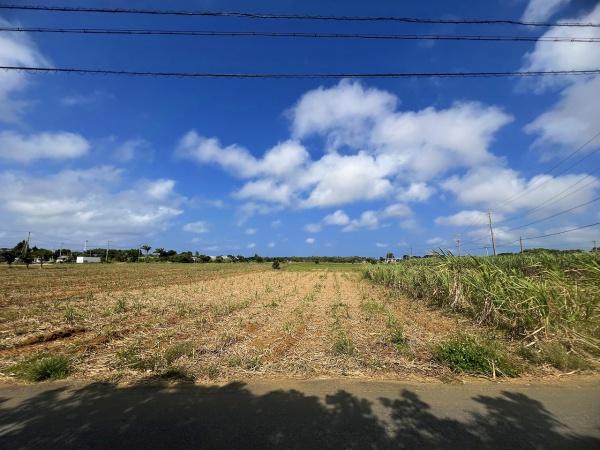 【土地】平良西里野原越公民館隣　約597坪　畑