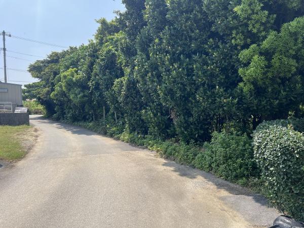 宮古島市平良字下里の土地