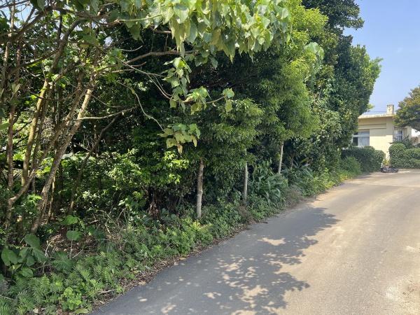 宮古島市平良字下里の土地