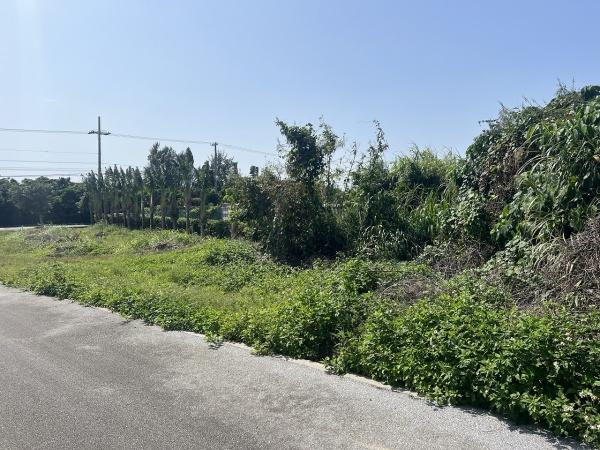 宮古島市平良字狩俣の土地