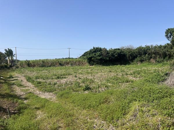 【土地】平良狩俣で畑を耕しながら暮らす　約442坪　畑