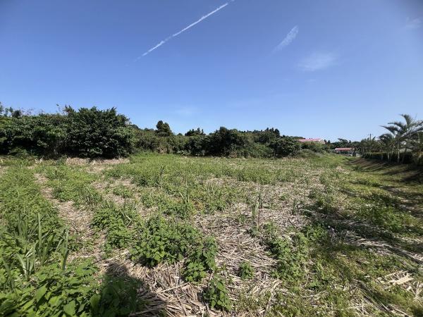 宮古島市平良字狩俣の土地