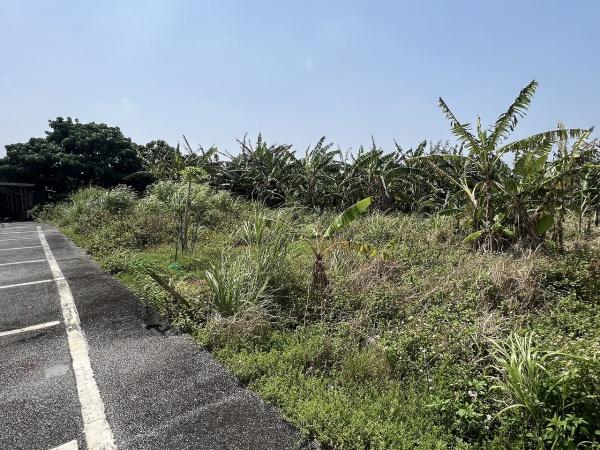【土地】平良下里腰原アパート用地　約294坪　畑