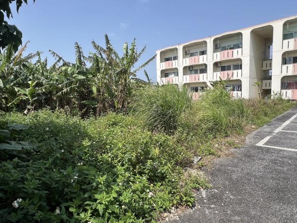 【土地】平良下里腰原アパート用地　約294坪　畑