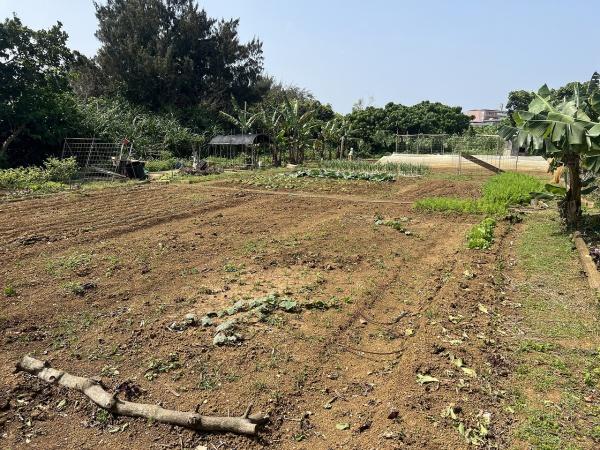 宮古島市平良字下里の土地