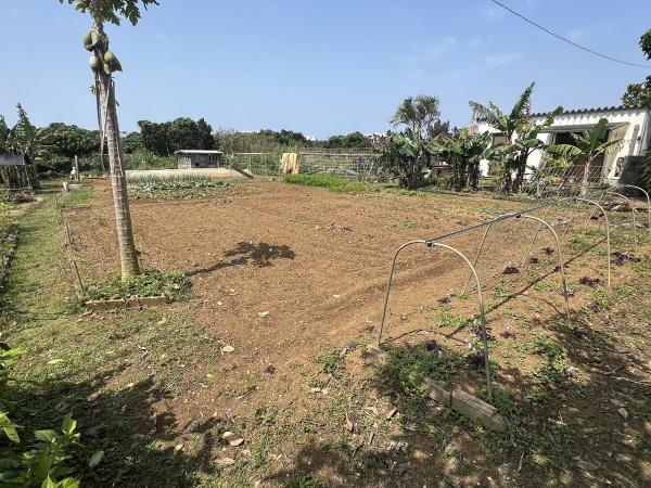 【土地】平良下里腰原ひっそりと暮らす　約217坪　原野
