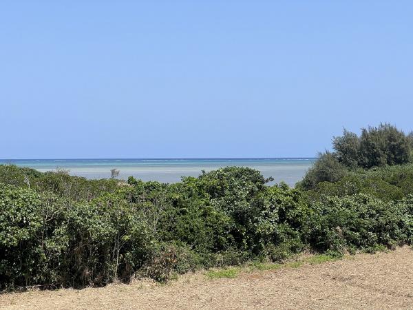 【土地】平良狩俣海が見える角地約405坪原野