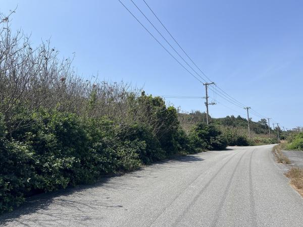 【土地】平良狩俣海が見える角地約405坪原野