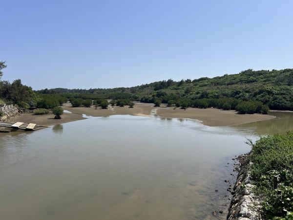 【土地】平良マングローブ林に面した土地約880坪原野