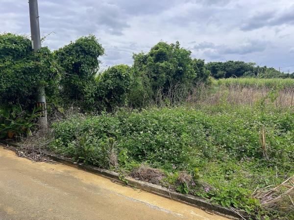 【土地】城辺長間でスローライフ　約344坪　畑