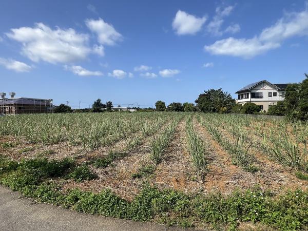 【土地】平良下里腰原の住宅用地1,000坪畑