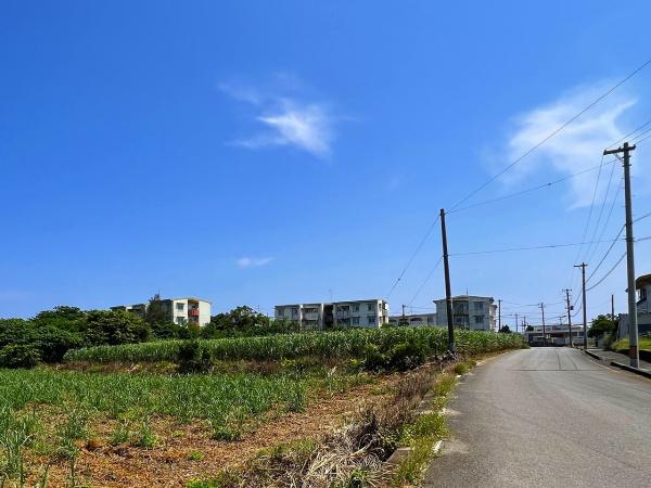 【土地】城辺福里　約529坪　畑