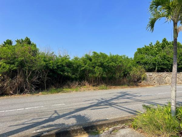 【土地】伊良部ホテルが並ぶ通り沿い290坪原野