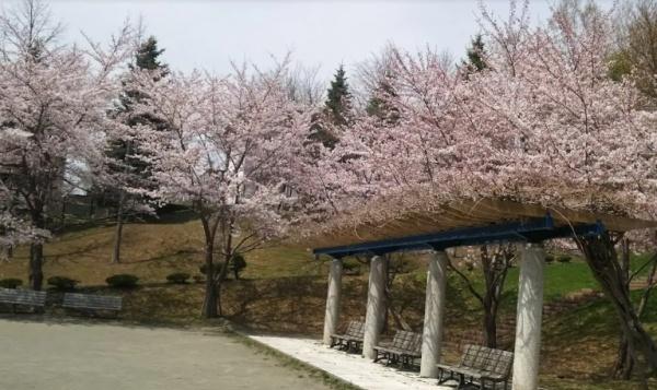 札幌市南区北ノ沢２丁目の中古一戸建て(北ノ沢公園)