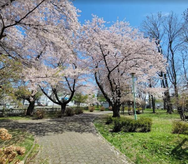 リバーサイド元町館　【即内見可能】(白石公園)