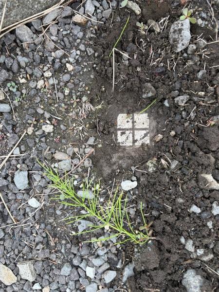 札幌市東区北二十七条東２１丁目の土地
