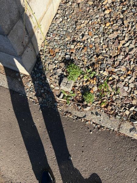 新川五条6丁目戸建て【貸出中】