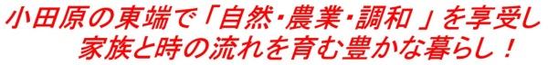 小田原中村原　住宅用地3区画