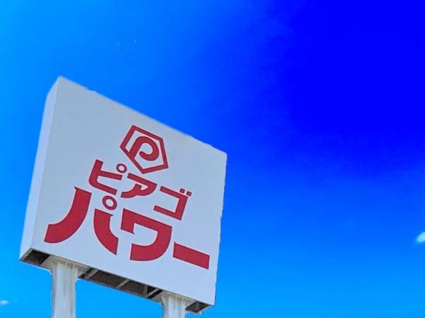 一宮市花池3丁目1期 全1棟(ピアゴパワー妙興寺店)