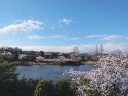 奈良市中登美ヶ丘２丁目の売土地