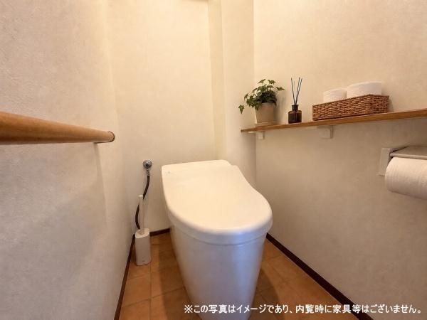 レックスコートオークティ