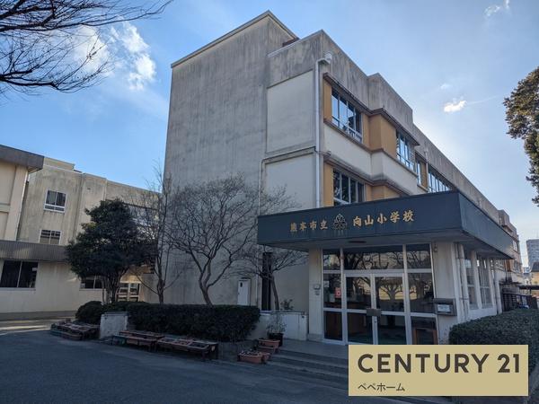リナージュ中央区本山町23-1期2号棟(向山小学校)