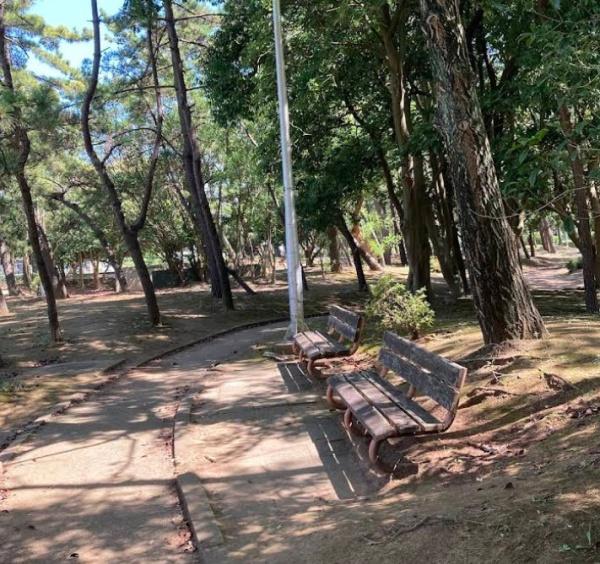 千葉市美浜区真砂3丁目 2号棟(真砂第2公園)