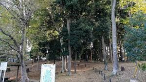 柏市青葉台1丁目 1号棟 新築戸建(南増尾緑地)