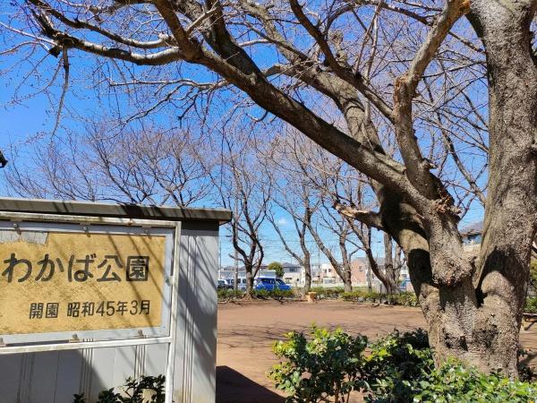 松戸市常盤平双葉町 1号棟(わかば公園)