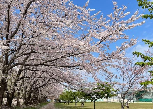 習志野市鷺沼3丁目 新築戸建(袖ケ浦運動公園)