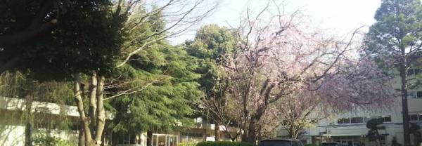 ライオンズマンション習志野台壱番館(船橋市立習志野台中学校)