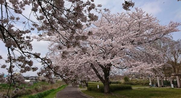 柏市十余二字南翁原 1号棟(13号高田緑地)