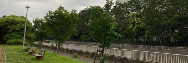 習志野市香澄3丁目1号棟(香澄3号緑道)