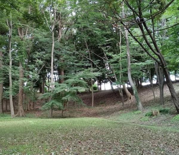 船橋市田喜野井2丁目 1号棟(藤崎緑地)