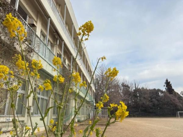 コスモステージ大久保パークプラザ(習志野市立実籾小学校)