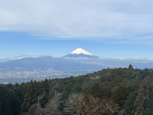 南箱根グランビュー